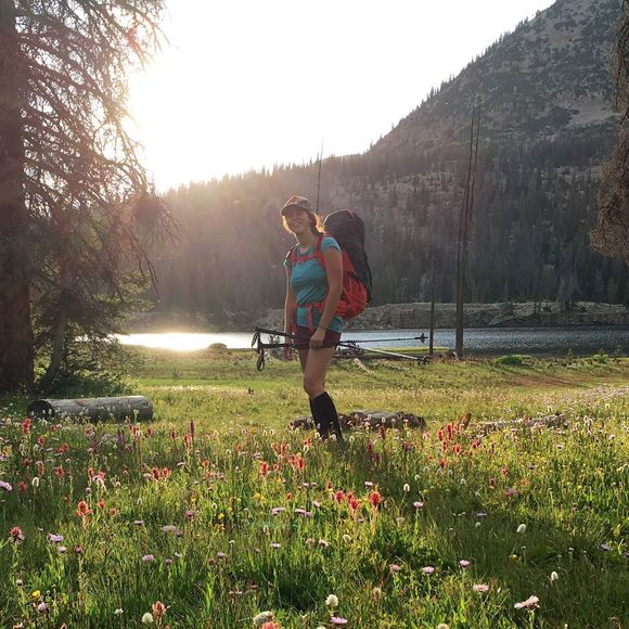 Meet your Posher, Koly - Picture 1 of 1